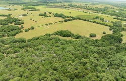 TBD Stryk Road, Flatonia, TX 78941