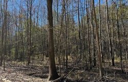 437 PRIVATE ROAD 8507, Van, TX 75790