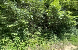 43 Rock Springs Road, Celina, TN 38551