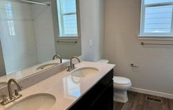 827 Mesic Ln, Windsor, CO 80550