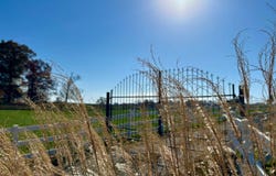 710 County Road 328, Thayer, MO 65791