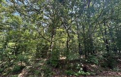 Lot 36 & 37 Beccles  LN, Bella Vista, AR 72714
