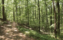 0 CR-66, Goodwater, AL 35072