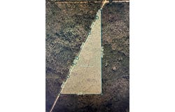 35 Acres MADISON MAIN LINE, PERRY, FL 32347