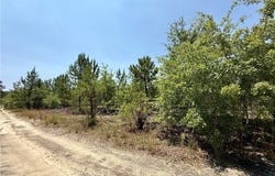 TBD 2 North Turnpike Road, Wagram, NC 28396