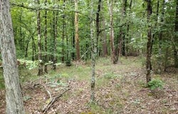 10 Telon Lane, Hot Springs Village, AR 71909