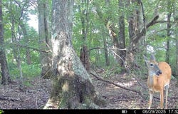 00 copeland rd, Crawfordsville, AR 72327