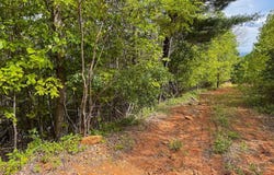 TBD Treadway Ridge Rd, Moravian Falls, NC 28697