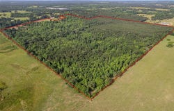 0 CR 345, Winona, TX 75792