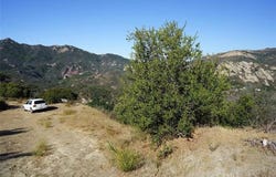 1 Mount Prospect Drive, Topanga, CA 90290