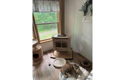495 SW Prairie Lane, Kalkaska, MI 49646