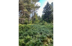 0 Cold Brook Road, Vermontville, NY 12989