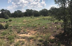 Glorieta Mesa, Ilfeld, NM 87535