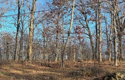 26 Wagon Creek Loop, Creal Springs, IL 62922