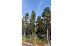 4521 Jm Loop Road, Island Park, ID 83429