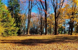 1616 MEADOW LANE, GLEN MILLS, PA 19342