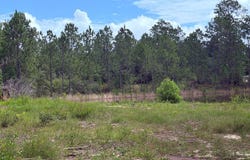 E Lake Cypress Dr, Perkinston, MS 39573