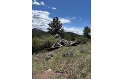 TR42 CR 329, Westcliffe, CO 81252