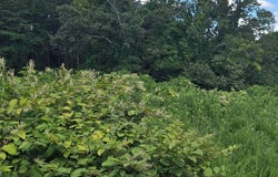 52 Paint Rock Ferry Rd, Kingston, TN 37763
