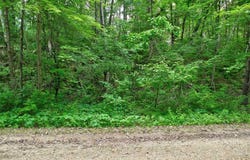 1159 65th Avenue, Lincoln Twp, WI 54001