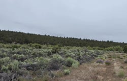 River Bank Drive, Beatty, OR 97621