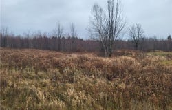 00 Ridge Road, Fine, NY 13639