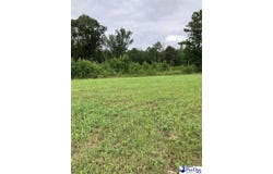 140 PINKNEY RD., KINGSTREE, SC 29401