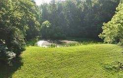 03  Strawberry Run, Crozier, VA 23039