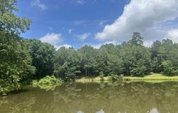 6067 Hwy 71 S, Cove, AR 71953