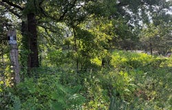 009 S Kelly Road, Agra, OK 74824