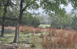 117 N john bird, Blanco, TX 78606
