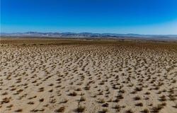Alpine Avenue, 29 Palms, CA 92277