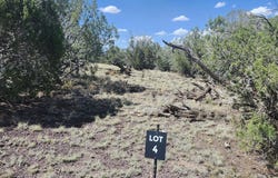 393 W Edgewood Drive, Williams, AZ 86046