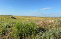 E County Road 37, Mooreland, OK 73852