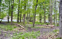 Collins Road, Mentor, OH 44060