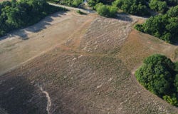 Rosemary Road, Elko, SC 29826