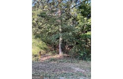 0 Bowers St., Bowman, GA 30624