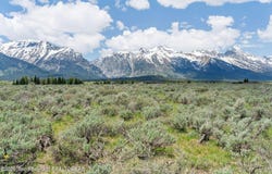 505 E TRAP CLUB Road, Jackson, WY 83012