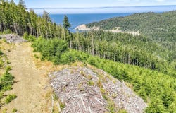 HWY 101, Nehalem, OR 97131