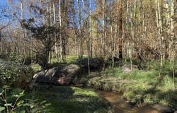 349 Columbine Cir, Rye, CO 81069
