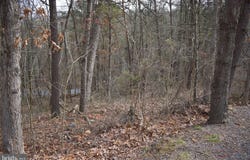 TBD COTTONWOOD RD, MOUNT JACKSON, VA 22842