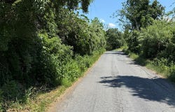 2010 Lakeside Drive, Charlottesville, VA 22901