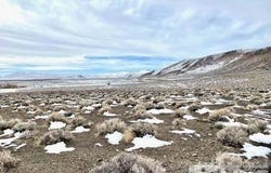 8420 US-95 ALT, Silver Springs, NV 89429