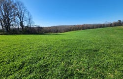 Hoffman, Guilford, NY 13780