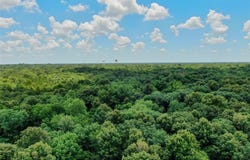 Tbd Shelby Lane, Ladonia, TX 75449