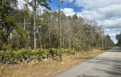 4840 FLAGLER ESTATES Boulevard, Hastings, FL 32145