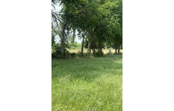 Tbd County Road 242, Priddy, TX 76870