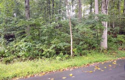 LOTS 126-127 CODJUS DR, RISING SUN, MD 21911