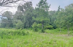 0 Hampton Road, Mobile, AL 36608