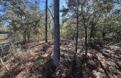 Lot 17 Shelby Court, Chipley, FL 32428